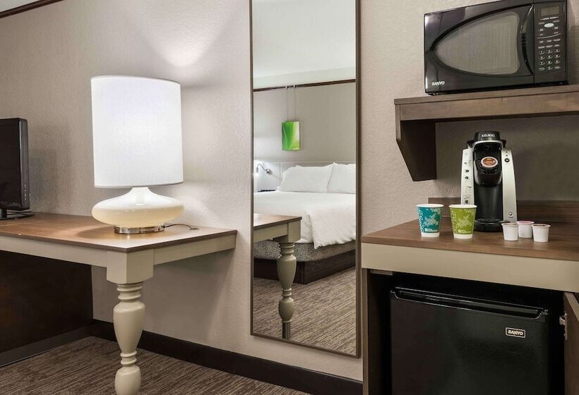 اتاق استاندارد برای معلولان, Hilton Garden Inn Wilmington Mayfaire Town Center
