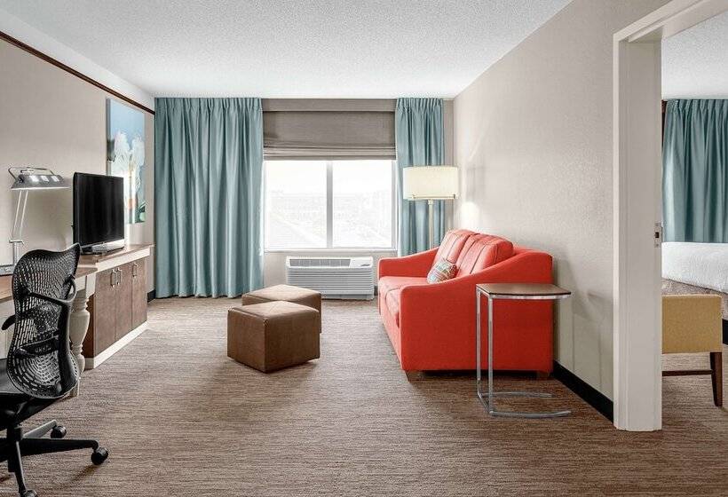 اتاق استاندارد برای معلولان, Hilton Garden Inn Wilmington Mayfaire Town Center