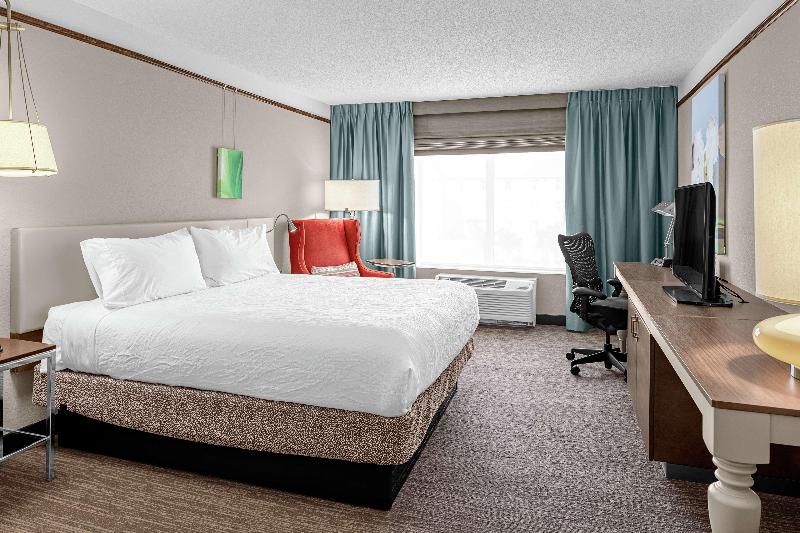 اتاق استاندارد با تخت بزرگ, Hilton Garden Inn Wilmington Mayfaire Town Center