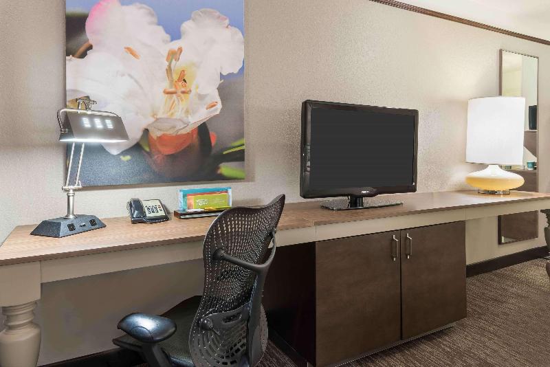اتاق استاندارد با تخت بزرگ, Hilton Garden Inn Wilmington Mayfaire Town Center