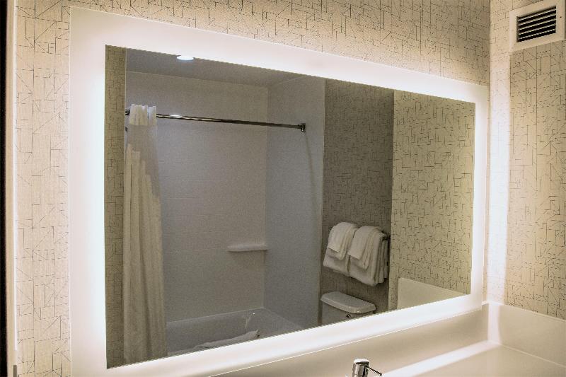 Люкс Кровать Кинг, Holiday Inn Express Hotel & Suites Roseville   Galleria Area, An Ihg