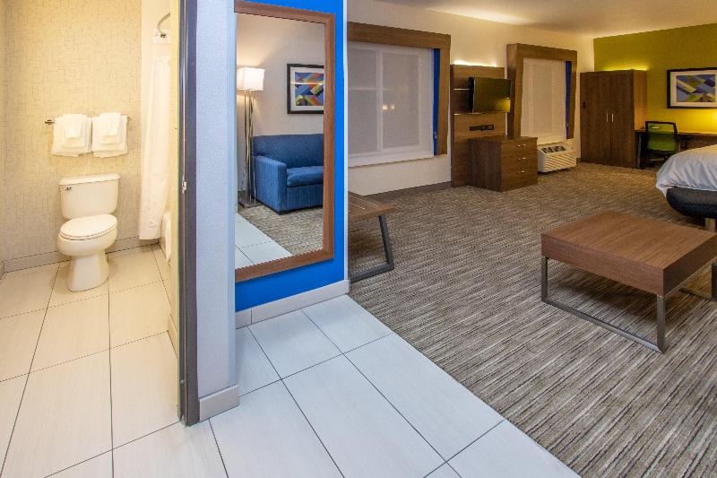 Люкс Кровать Кинг, Holiday Inn Express Hotel & Suites Roseville   Galleria Area, An Ihg