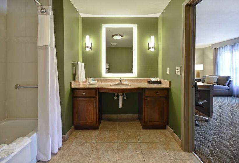 استودیوی استاندارد با تخت دوبل, Homewood Suites By Hilton At The Waterfront