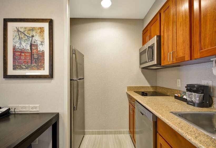 Люкс Адаптированный для Инвалидов, Homewood Suites By Hilton Ithaca