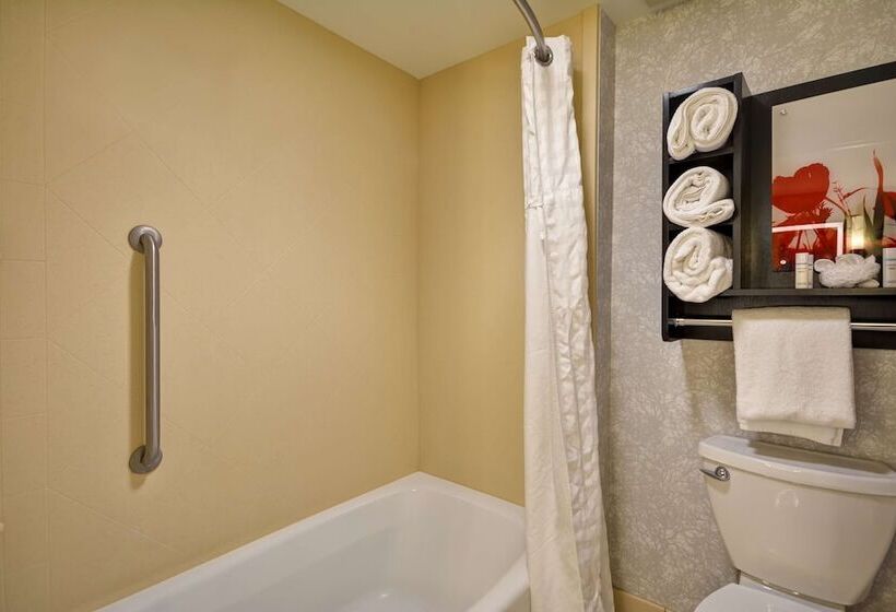 Люкс Адаптированный для Инвалидов, Homewood Suites By Hilton Ithaca