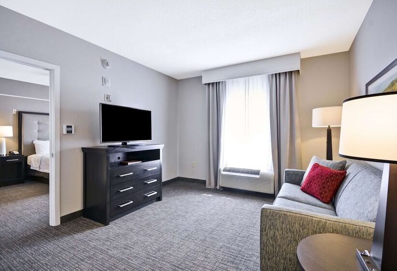Люкс Адаптированный для Инвалидов, Homewood Suites By Hilton Ithaca