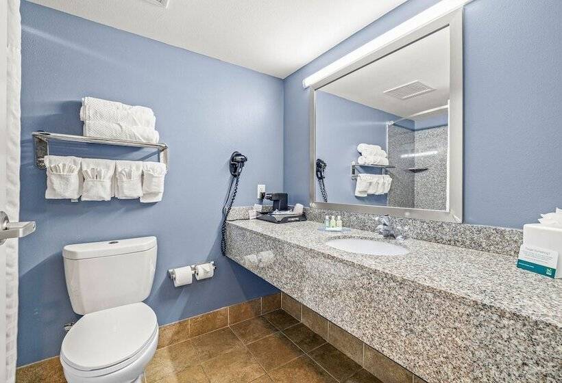 스탠다드 룸 더블 침대 2개, Quality Inn & Suites Tampa Ybor City