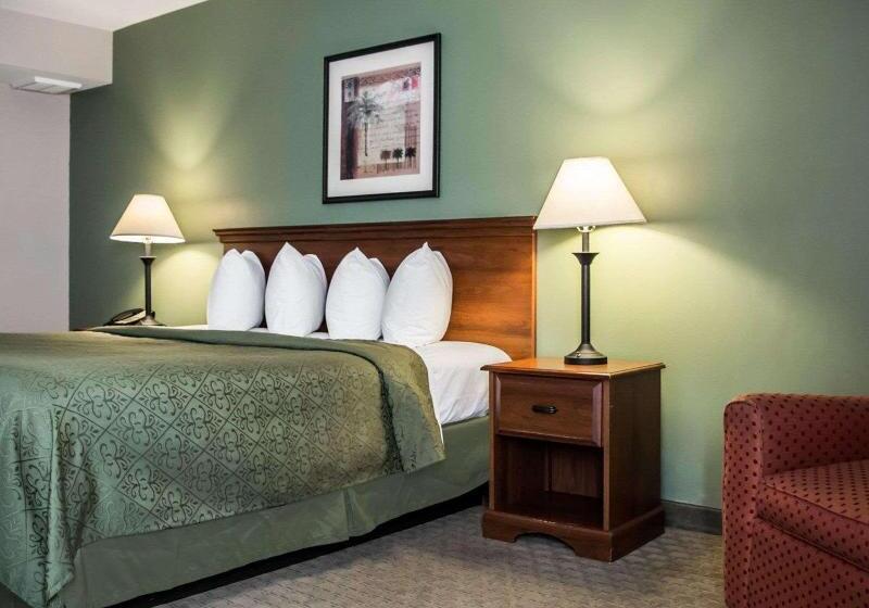 스탠다드 룸 킹사이즈 침대, Quality Inn & Suites Tampa Ybor City
