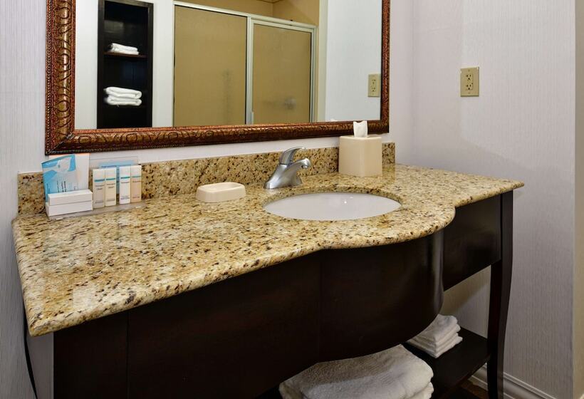 Номер Стандарт Внутренний, Hampton Inn & Suites Fredericksburg