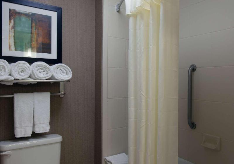 Люкс 2 Спальни, Homewood Suites By Hilton St. Louis  Galleria