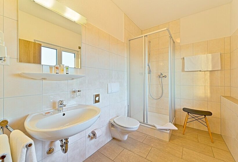 Номер Комфорт, Sapia Hotel St. Fridolin