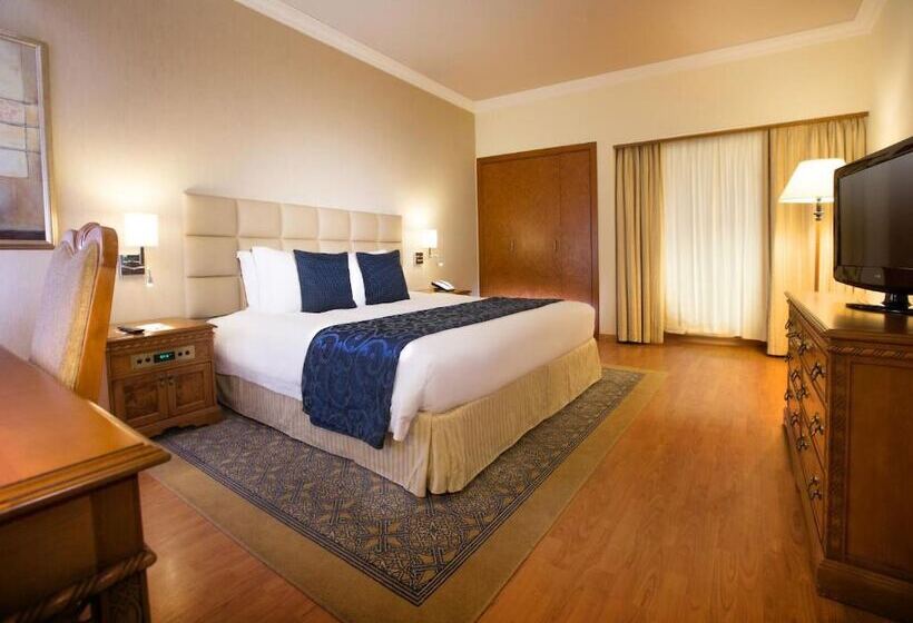 套房, Millennium Plaza Downtown Suites