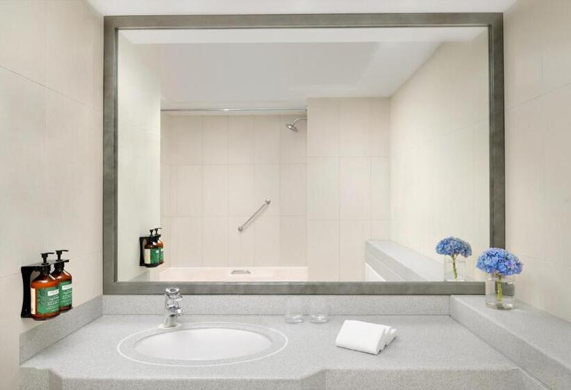 套房, Millennium Plaza Downtown Suites
