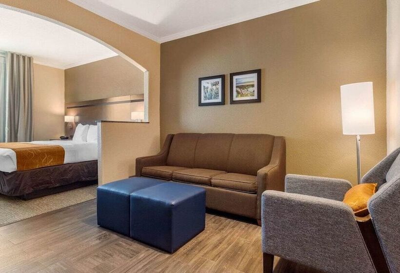 סוויטה, Comfort Suites Baytown I   10
