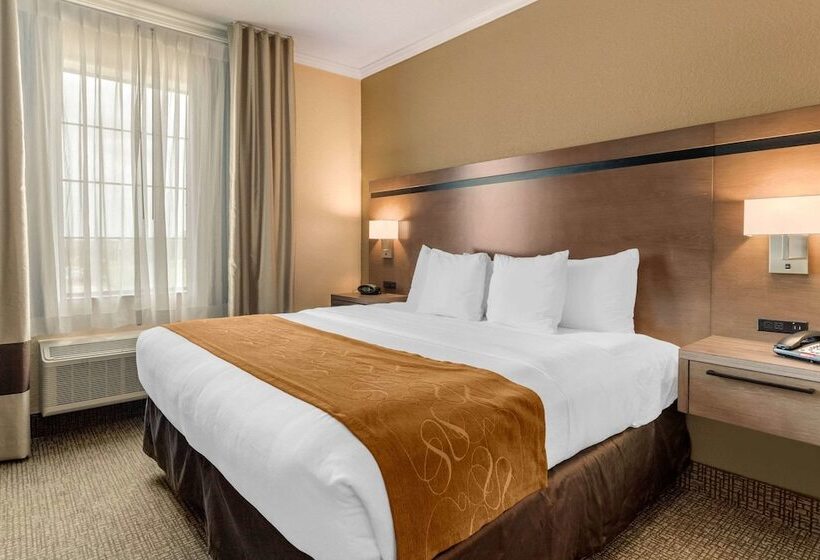 סוויטה, Comfort Suites Baytown I   10