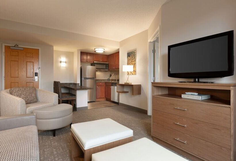 ２ベッドスイートルーム, Staybridge Suites Tampa East  Brandon, An Ihg