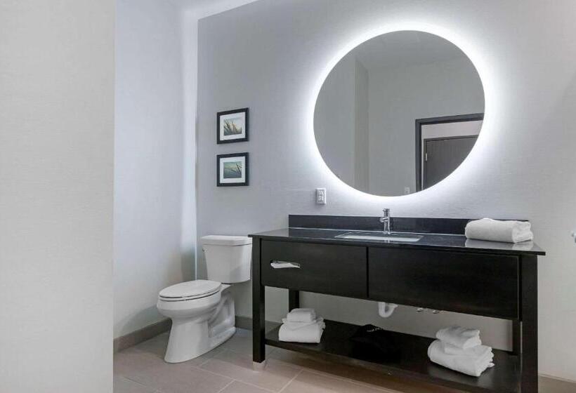 Люкс Кровать Кинг, Comfort Inn & Suites Adrian