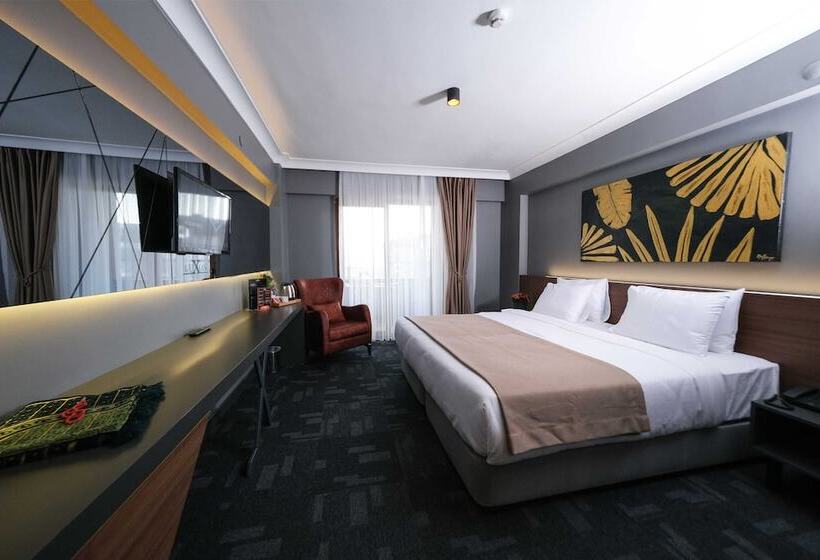 اتاق استاندارد, Luxon Hotel Sakarya