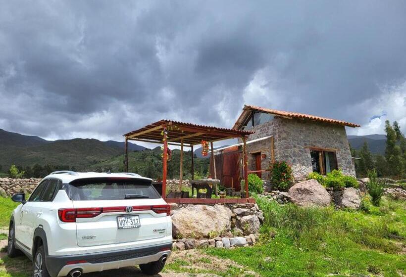 带大床的标准间, The First Real Bed & Breakfast Hiking Hotel  The Office  In Arequipa, Peru
