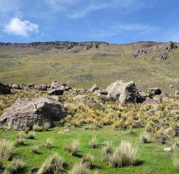 带大床的标准间, The First Real Bed & Breakfast Hiking Hotel  The Office  In Arequipa, Peru