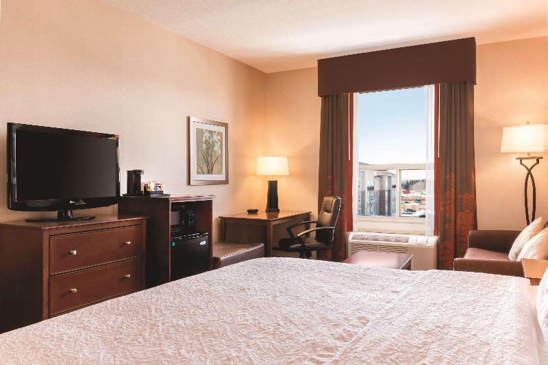 キングサイズベッドのスタンダードルーム, Hampton Inn By Hilton Edmonton/south, Alberta, Canada