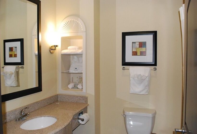 Номер Стандарт, Holiday Inn Express & Suites Houston South   Near Pearland, An Ihg