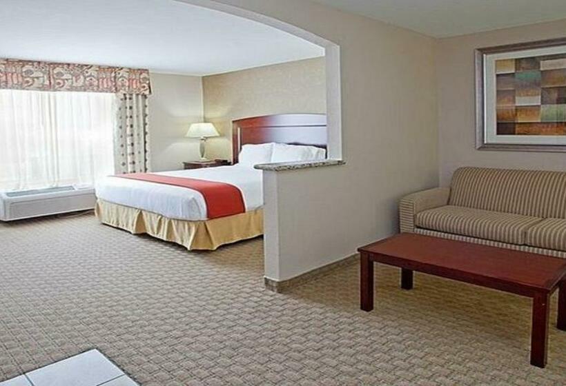 سوئیت با تخت بزرگ, Holiday Inn Express & Suites College Station, An Ihg