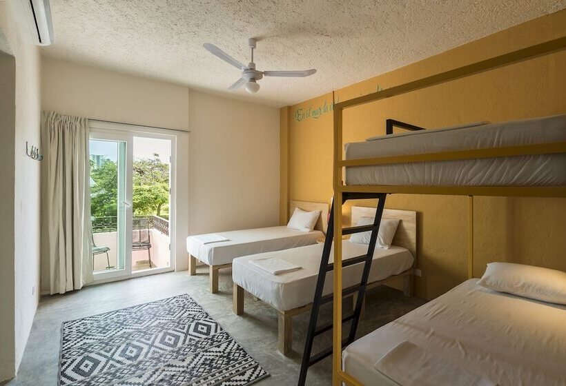 מיטה בחדר משותף, Selina Cancun Downtown