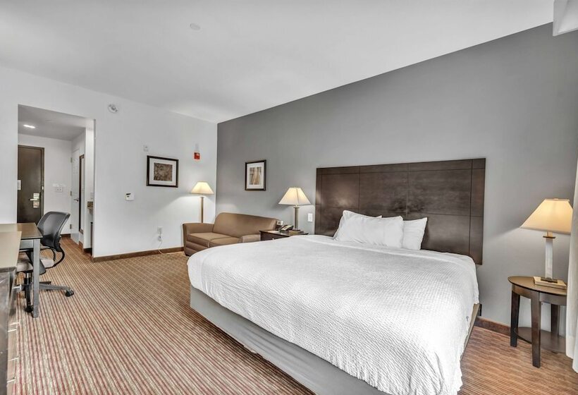 اتاق استاندارد برای معلولان, Wingate By Wyndham State Arena Raleigh/cary