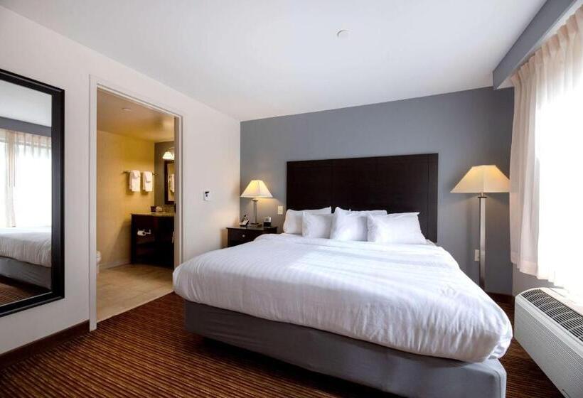 Deluxe Suite King Bed, Wingate By Wyndham State Arena Raleigh/cary