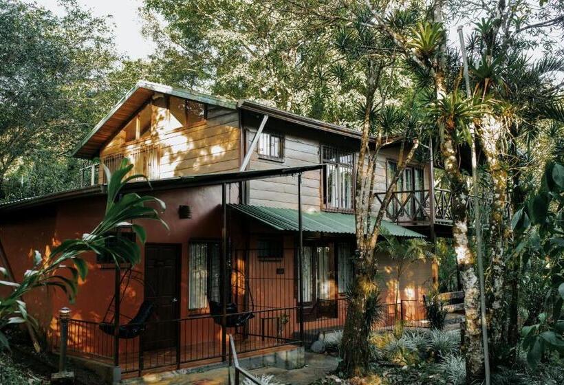 اتاق استاندارد, ávita Lodge