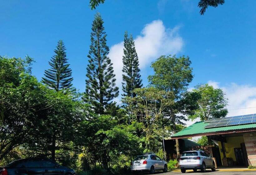 اتاق استاندارد چهار تخته, ávita Lodge