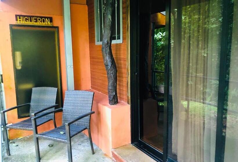 اتاق استاندارد سه نفره, ávita Lodge