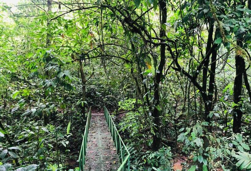 خانه 4 خوابه, ávita Lodge