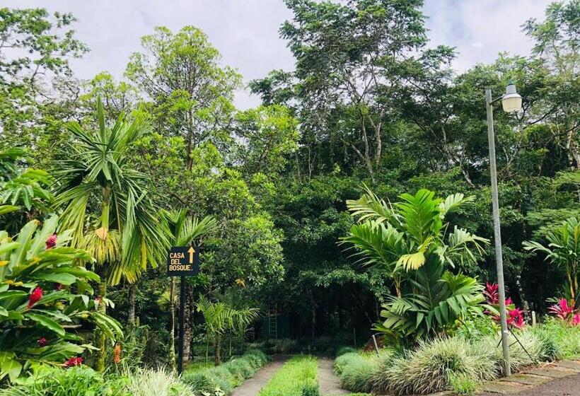 خانه 4 خوابه, ávita Lodge