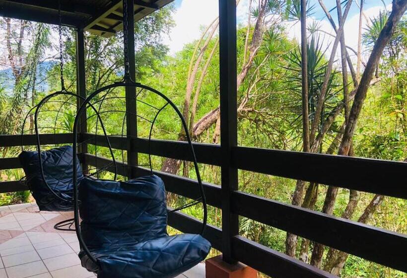 اتاق سوپریور چهار تخته, ávita Lodge