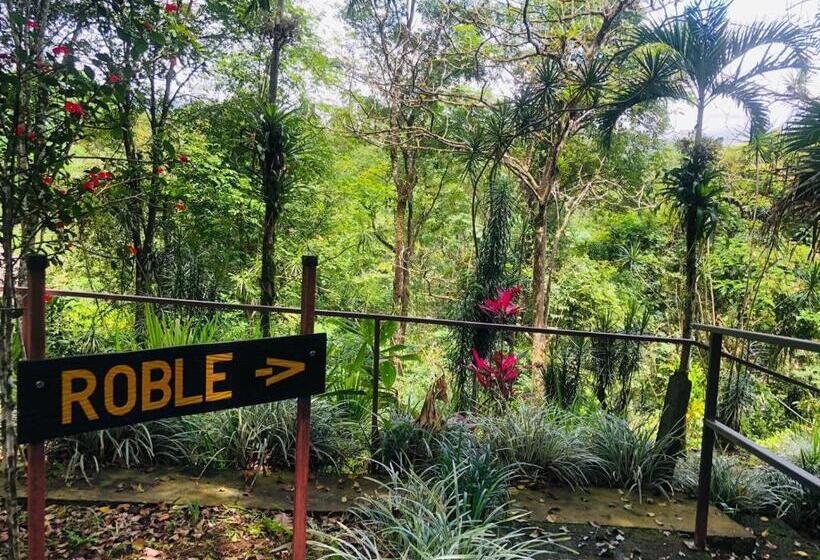 اتاق سوپریور چهار تخته, ávita Lodge