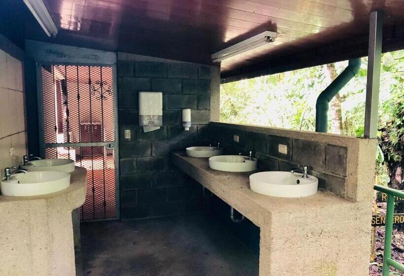 خانه 4 خوابه, ávita Lodge