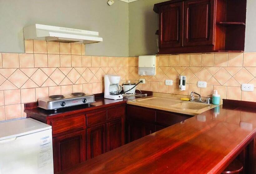 اتاق سوپریور چهار تخته, ávita Lodge