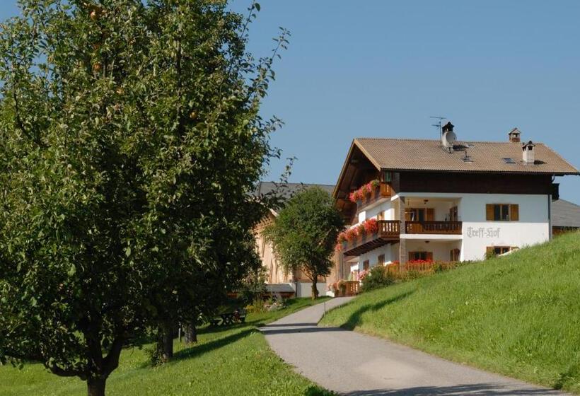 Апартаменты 1 Спальня, Treffhof
