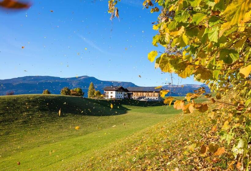 Апартаменты 1 Спальня, Treffhof