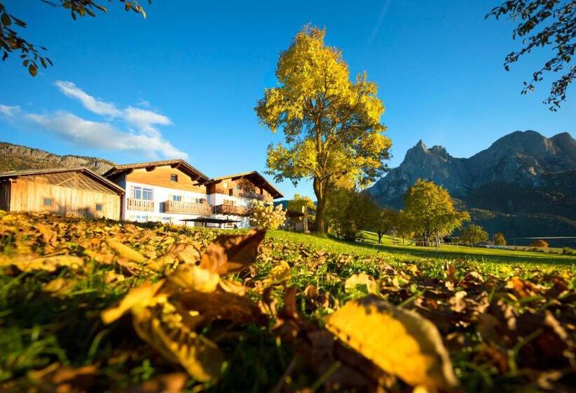 Апартаменты 1 Спальня, Treffhof