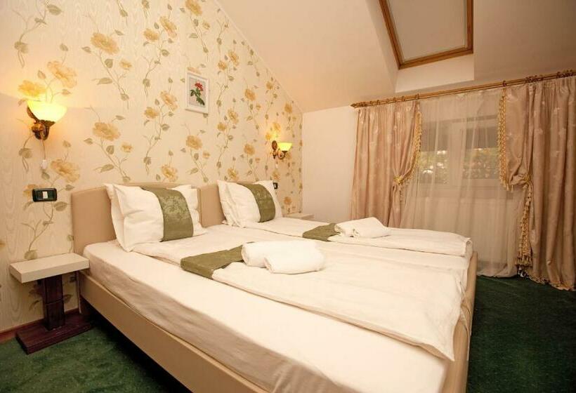 스탠다드 싱글 룸, Pension Dinu Residence