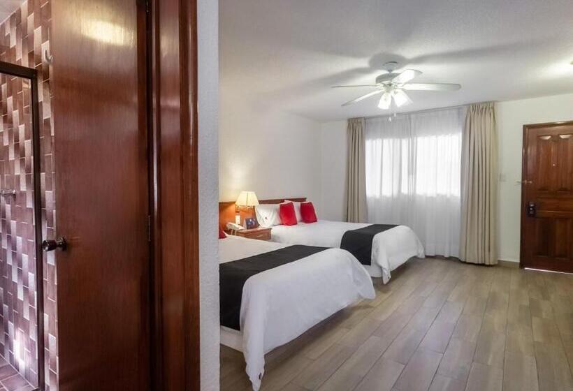 غرفة قياسية, Capital O Mansión Los Arcos