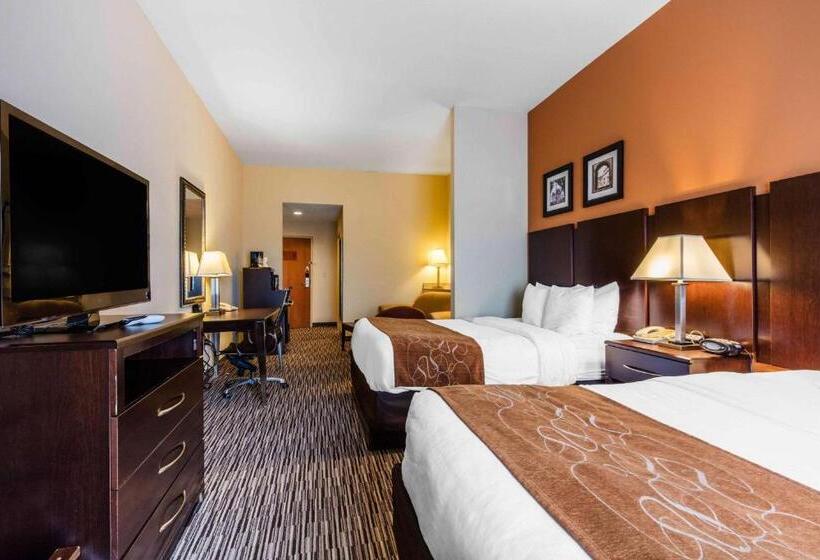标准间, Comfort Suites