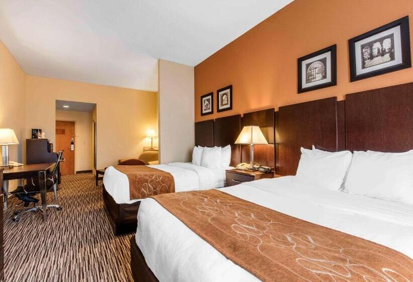标准间, Comfort Suites