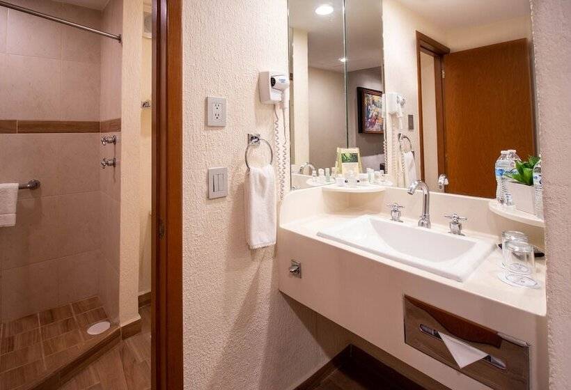 Chambre Executive, Guadalajara Plaza Expo