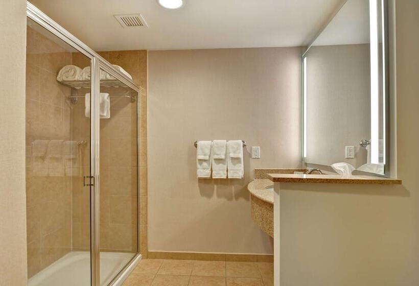 Quarto Estandar, Hilton Garden Inn Lake Buena Vista/orlando