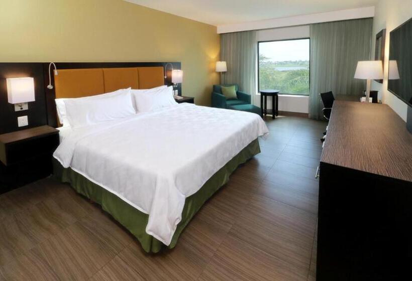 Стандартный Номер Кровать Кинг, Holiday Inn Tampico Altamira, An Ihg