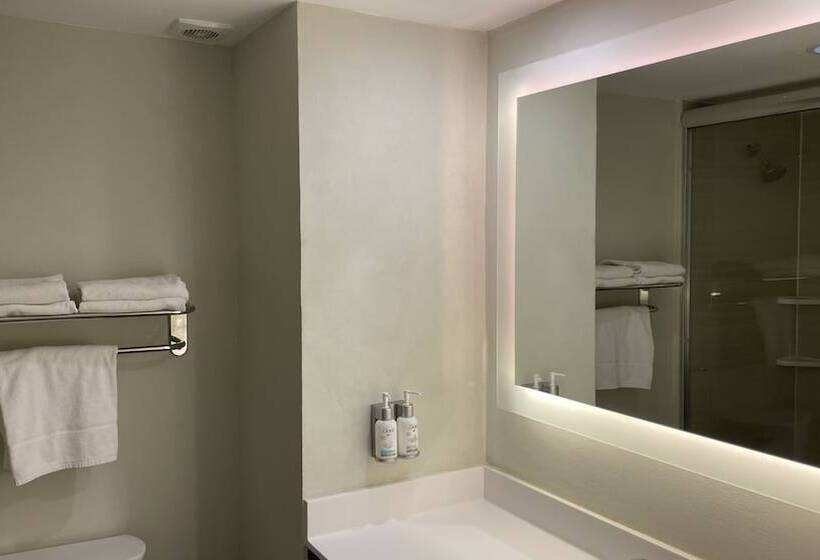 Номер Стандарт, Holiday Inn Tampico Altamira, An Ihg